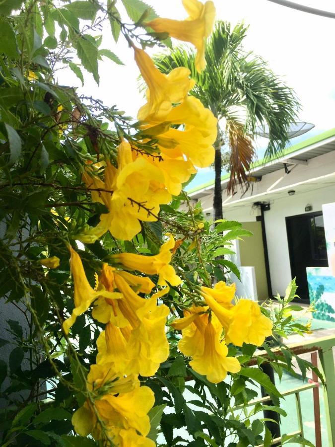 Rawai Whale Resort Екстериор снимка